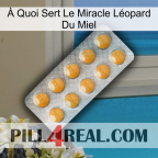 À Quoi Sert Le Miracle Léopard Du Miel levitra1